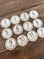 Custom Engraved Baby Milestone Discs