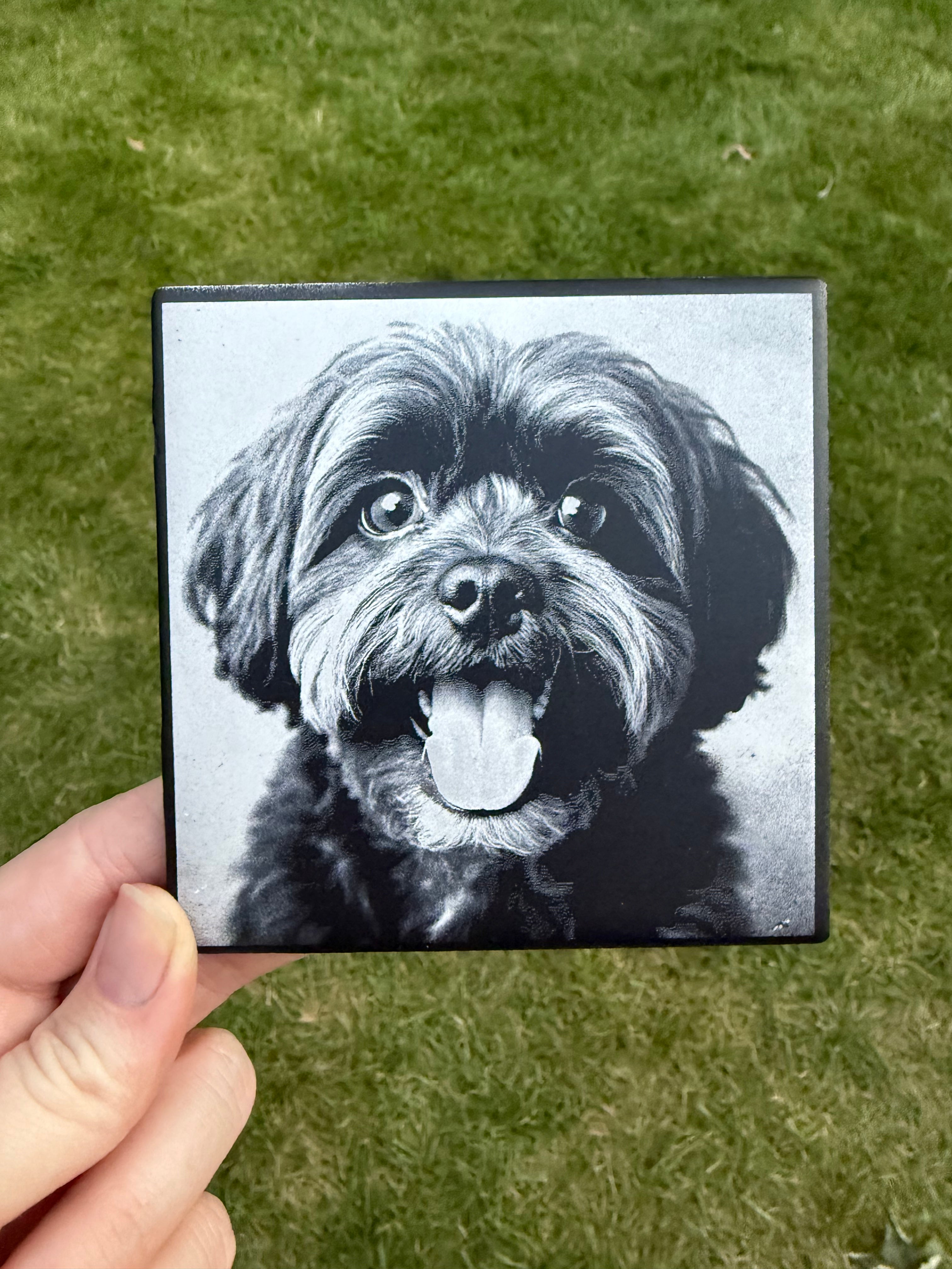Black & White Pet Portrait on Tile