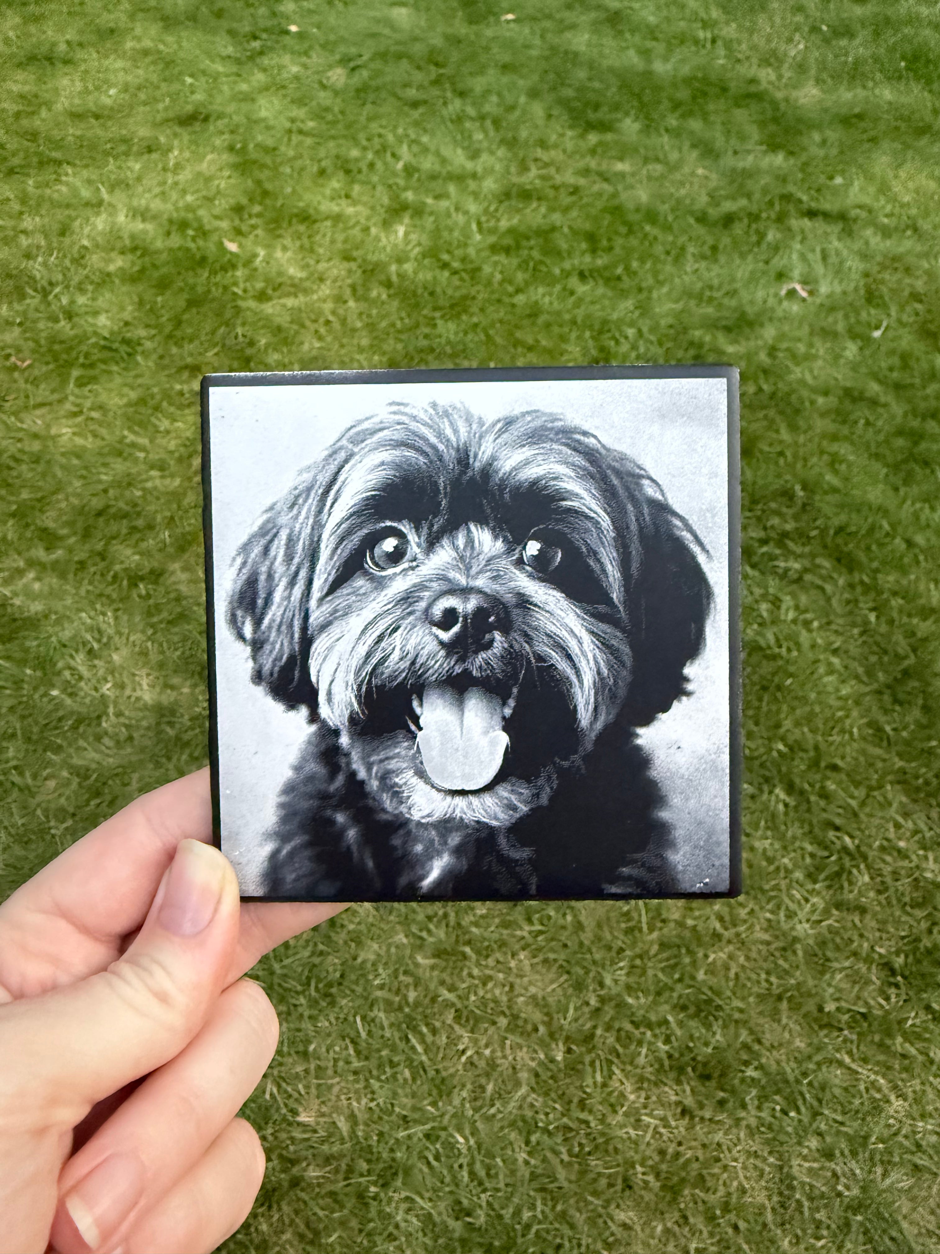 Black & White Pet Portrait on Tile