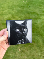 Black & White Pet Portrait on Tile
