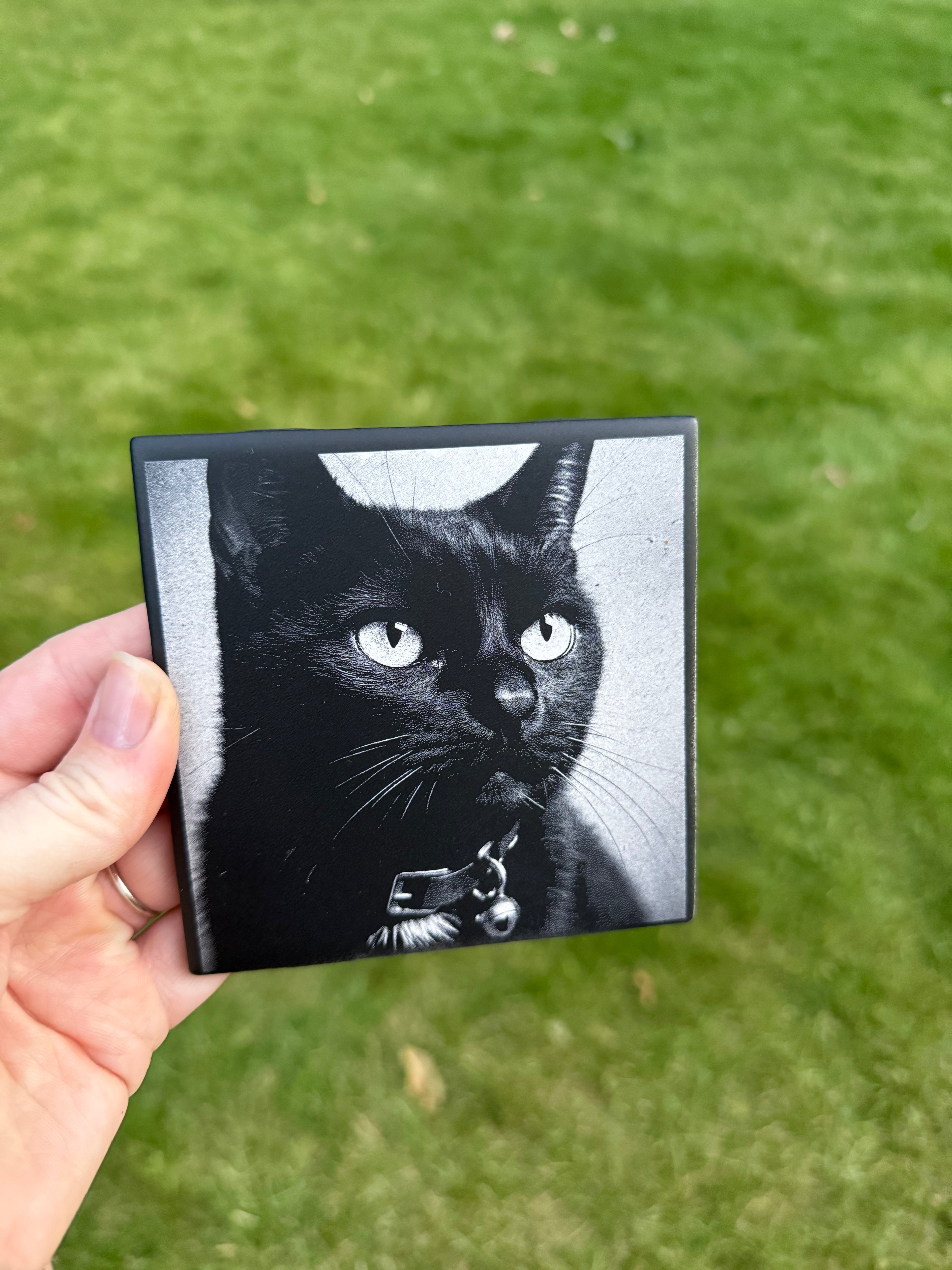 Black & White Pet Portrait on Tile
