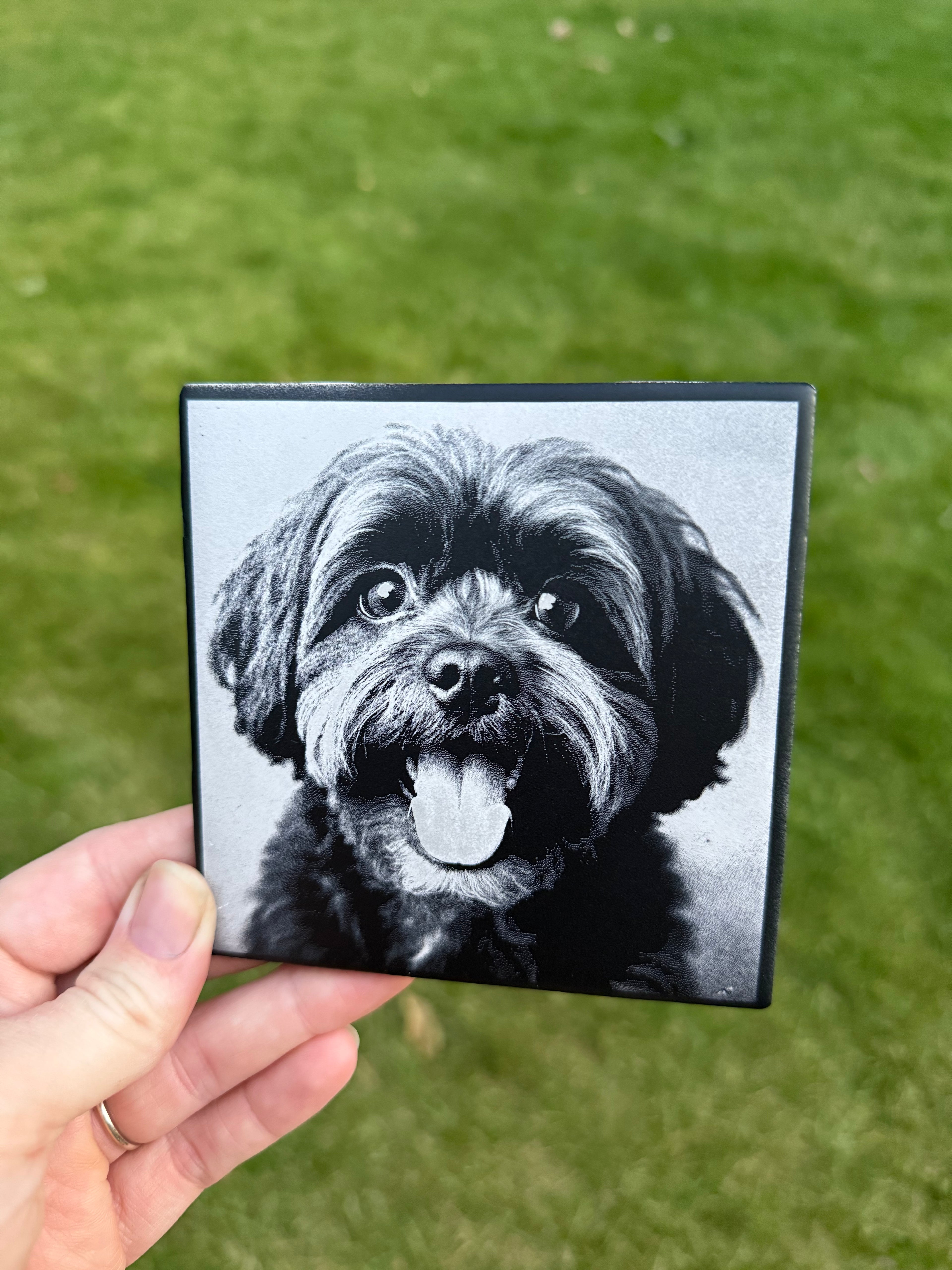Black & White Pet Portrait on Tile