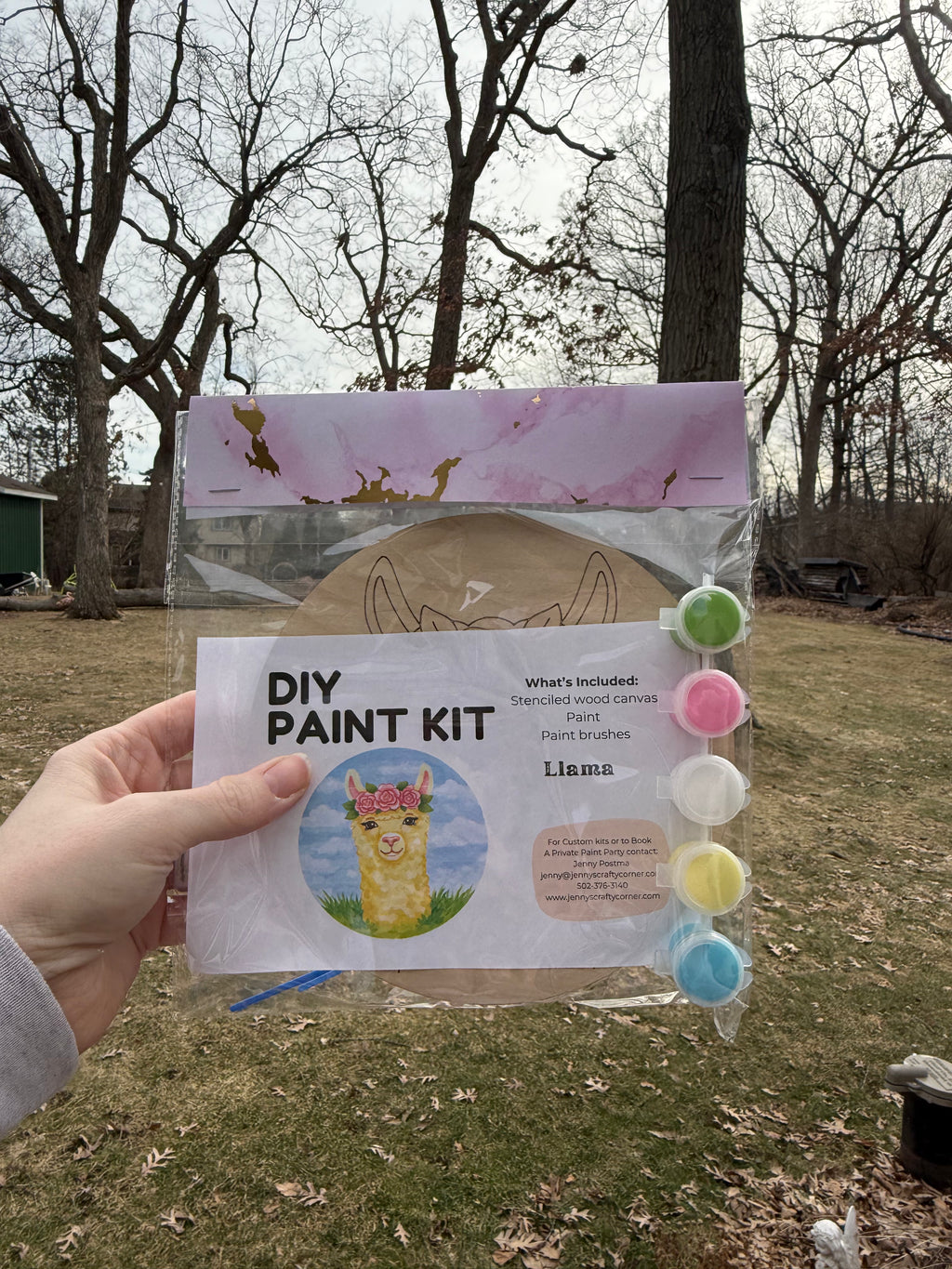 Llama Wooden Canvas Art Kit