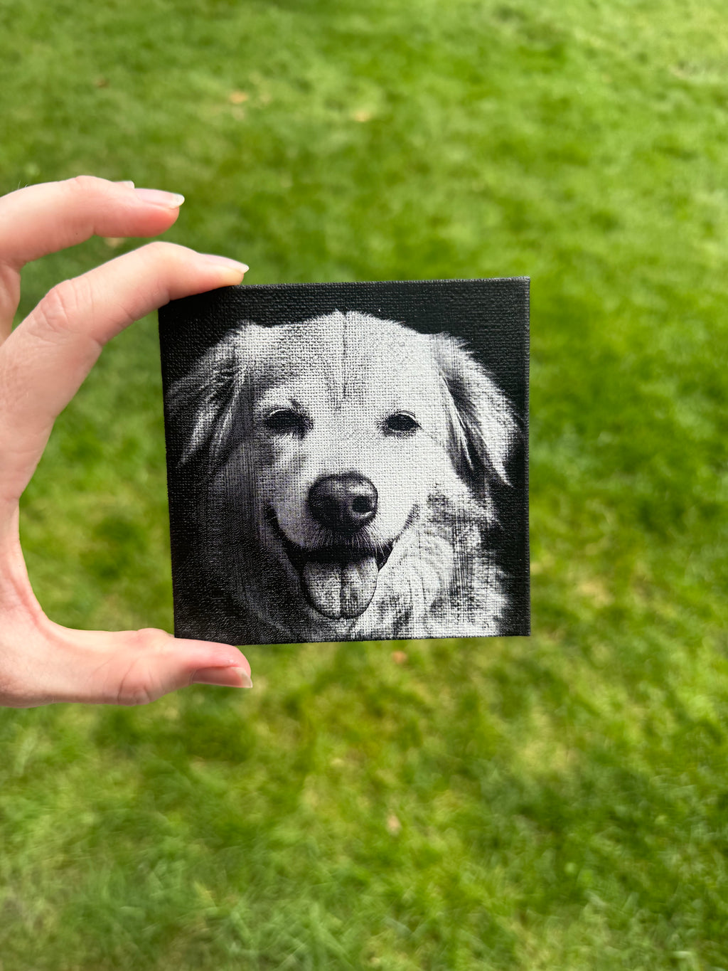Black & White Pet Canvas