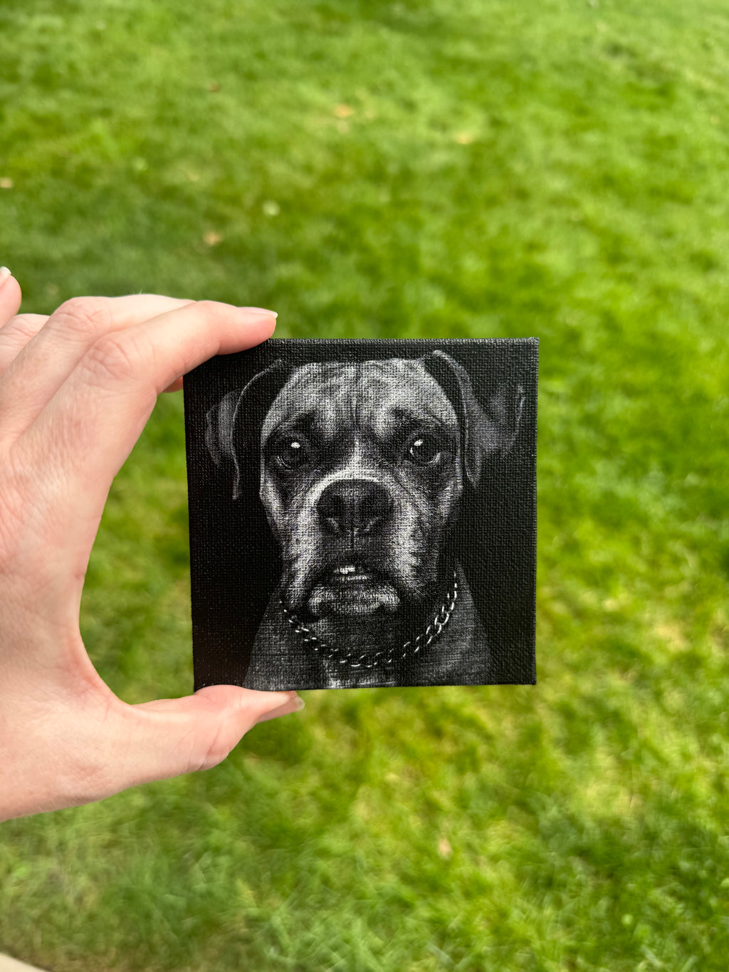 Black & White Pet Canvas