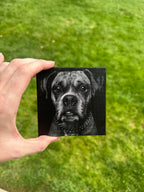 Black & White Pet Canvas