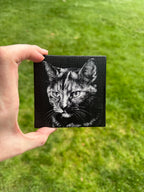 Black & White Pet Canvas