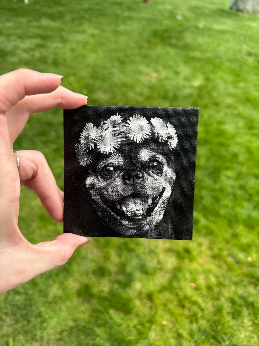 Black & White Pet Canvas