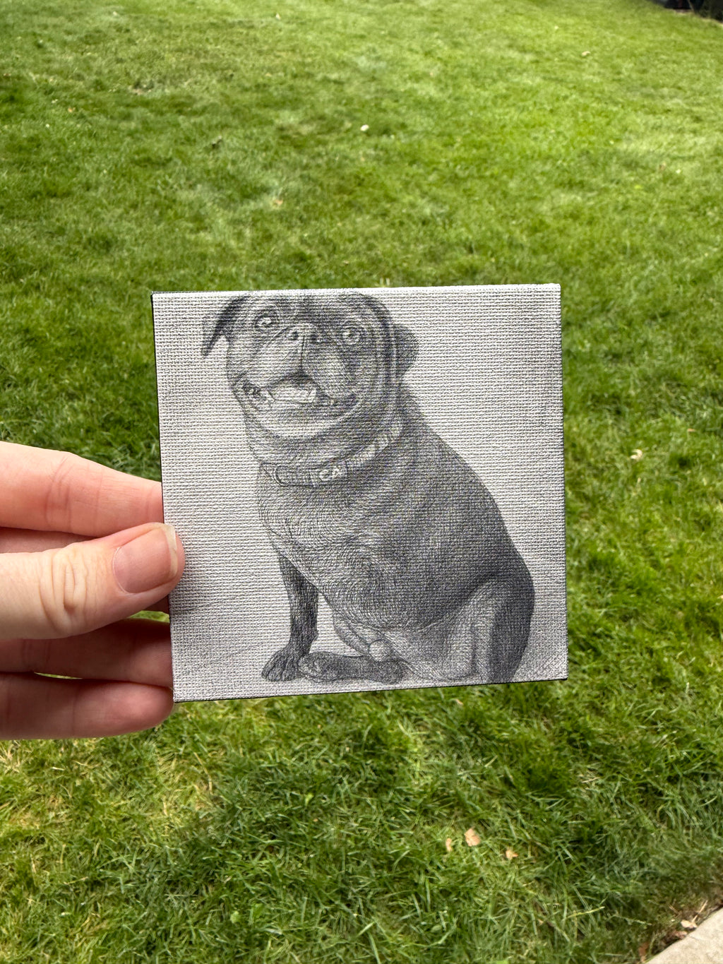 Black & White Pet Canvas