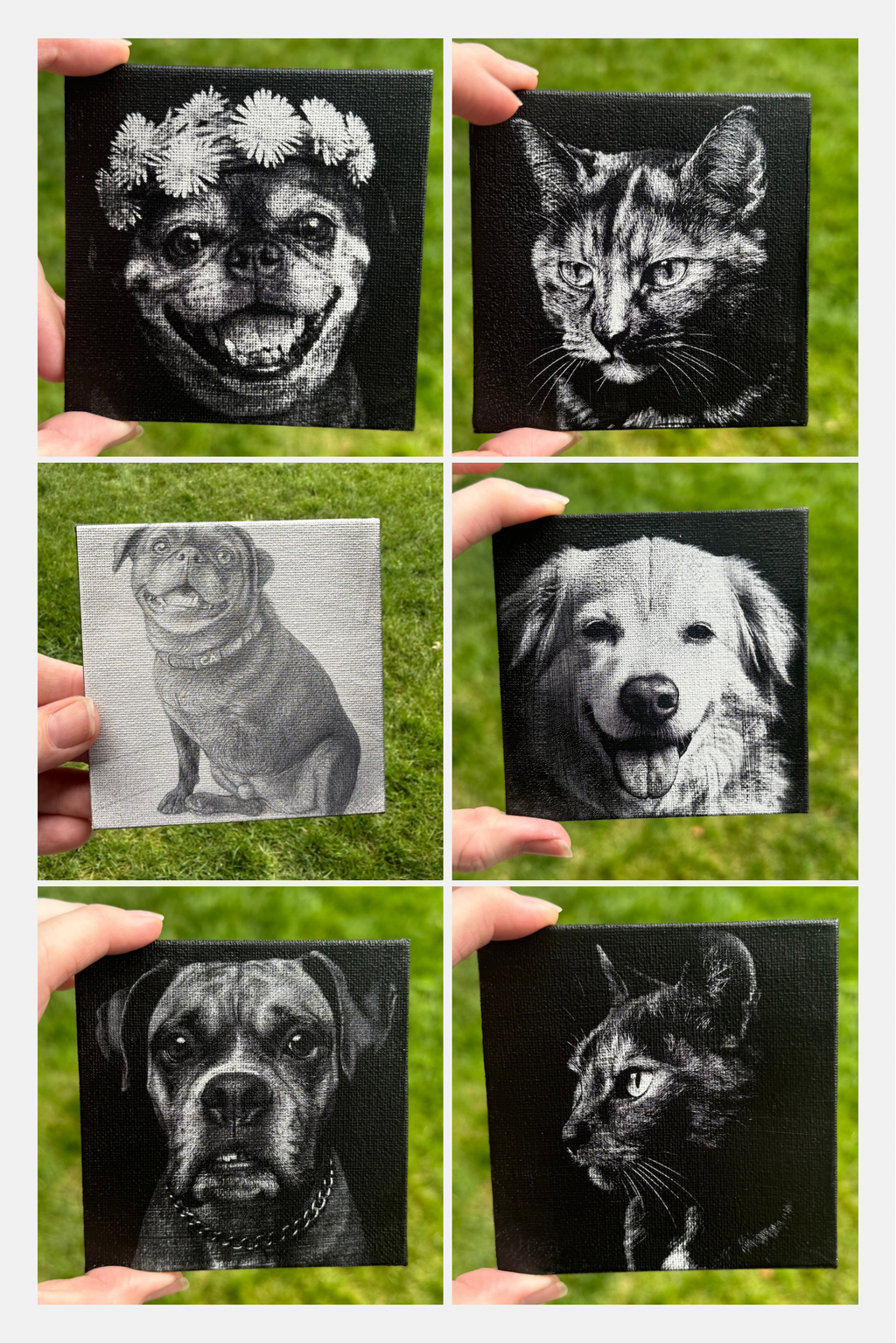Black & White Pet Canvas