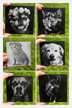 Black & White Pet Canvas