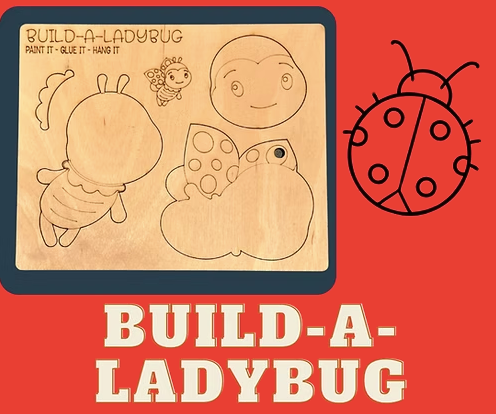 BUILD A LADYBUG KIT