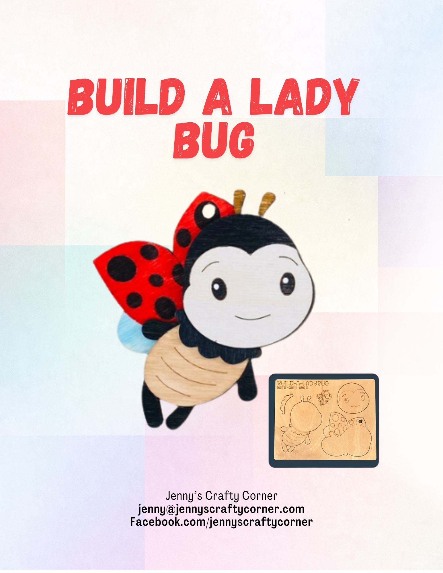 BUILD A LADYBUG KIT